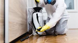 Best Pest Prevention Services  in Spring Hill, FL